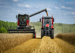 Biçer döver Massey Ferguson Activa 7343-MCS