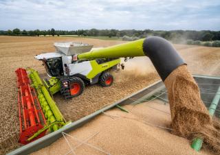 Biçer döver Claas Lexion 6900 