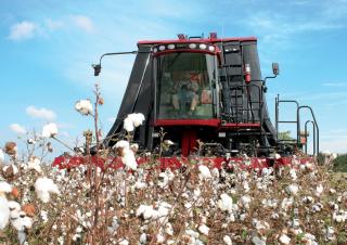 Biçer döver Case IH Module Express 635