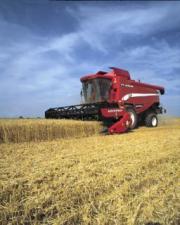 Combine Harvesters Laverda M 306