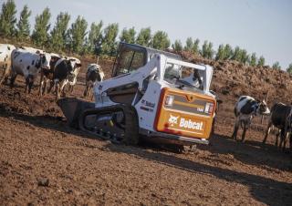 Skid Steer Loaders Bobcat T590