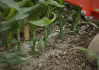Cultivators Maschio HP-4