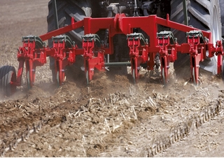 Cultivators Unia Plow B 6 
