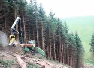 Forest Machinery Harvesters John Deere 1270 E IT4
