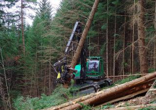 Forest Machinery Harvesters Neuson Forest 243HVT