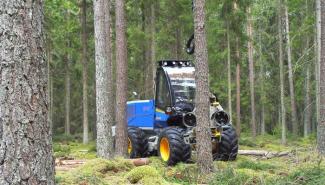 Forest Machinery Harvesters Rottne H 8 B
