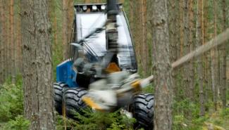 Forest Machinery Harvesters Rottne H 8 B