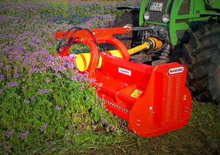 Kıyıcılar Maschio Bisonte 250