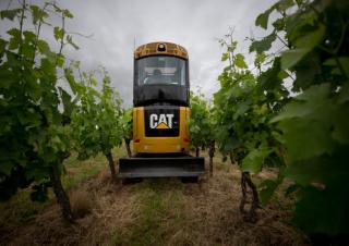 Mini Excavators Caterpillar 302 CR