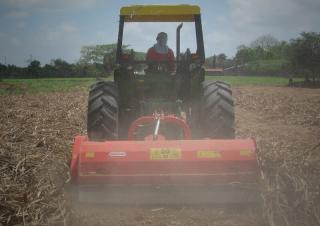 Mulchers Maschio Tornado 220