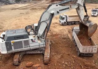 Paletli ekskavatörler Liebherr 984