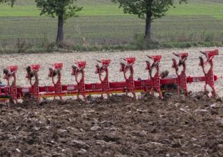 Ploughs Maschio Mirco 8+1 STD