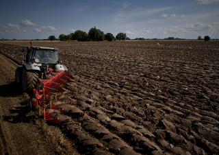 Ploughs Maschio Unico L 4E