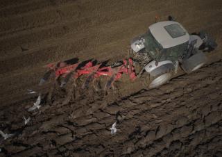 Ploughs Maschio Unico L 4E