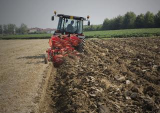 Pulluklar Maschio Unico XS 2+1