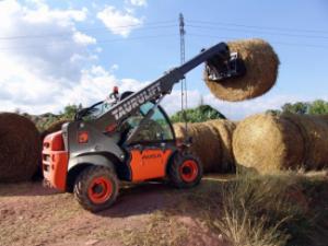 Telehandlers Ausa T 204 H
