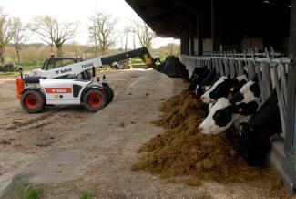 Telehandlers Bobcat T 2250