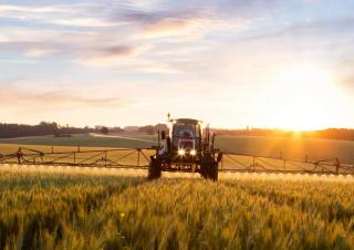 Self-propelled field sprayers Case IH Patriot 350