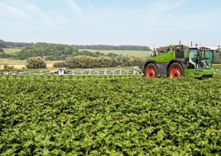Self-propelled field sprayers Fendt Rogator 655