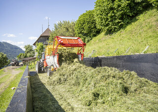 Silage trailers Pöttinger Boss 3190 Master