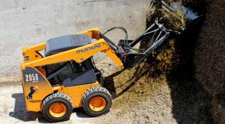 Skid Steer Loaders Mustang 2056