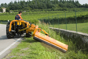 Summer Maintainance Equipment Slope Mowers Berti TA/M 160