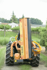 Summer Maintainance Equipment Slope Mowers Berti TA/MI 160