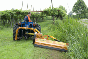 Summer Maintainance Equipment Slope Mowers Berti TA/MI 160