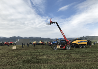 Telehandlers Manitou MLT-X 732