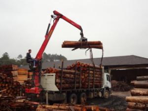 Timber loading cranes Epsilon C 80 L 77