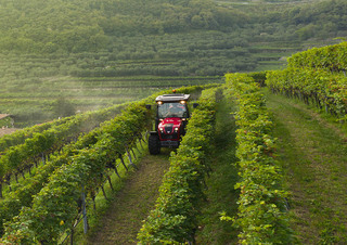 Traktörler 4wd Valtra F85S