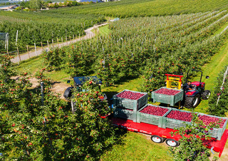 Traktörler 4wd Valtra F85S