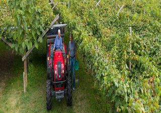 Traktörler 4wd Valtra F85S