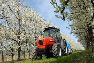 Traktörler 4wd SAME Frutteto³ 80 GS DT