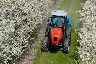 Traktörler 4wd SAME Frutteto³ 80 GS DT