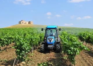 Traktörler 4wd Landini Rex 120F