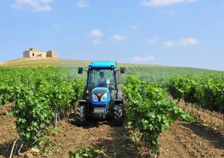 Traktörler 4wd Landini Rex DT 4-080V