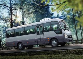 Otobüsler Tur araçları Hyundai Commercial Vehicles COUNTY New Breeze