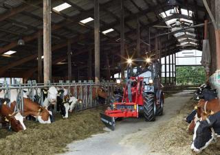 Wheel Loaders Weidemann 3080