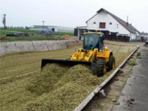 Wheel Loaders Palazzani PL 1105