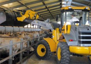 Wheel Loaders Palazzani PT 72