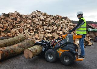 Wheel Loaders Giant SK252D