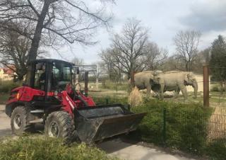 Wheel Loaders Yanmar V80