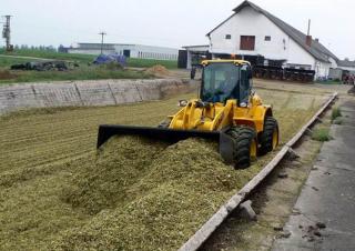 Wheel Loaders Palazzani PL 1105