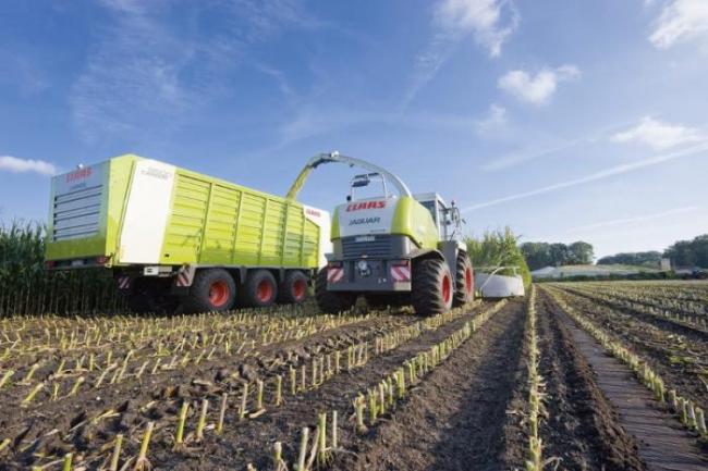 【ジャンク】Grass Valley コンバーター Claas 950 Jaguar w/ Tracks Chopping Corn / Maize in The