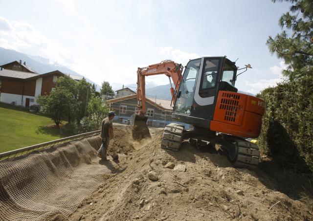 うっちー Hitachi ZX85 US at Butterfield Plant Sales - 01274 873758