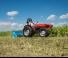 2WD Tractors SAME Argon 70 