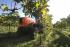 4WD Tractors SAME Frutteto³ S 100 DT