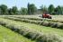 4WD Tractors SAME Tiger 65