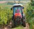 4WD Tractors SAME Frutteto V 90.4 